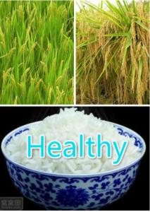 量子生态农业